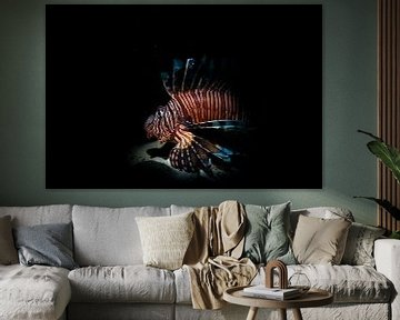 Coral devil by DesignedByJoost