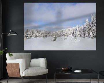 A snowy forest after the storm by Claude Laprise