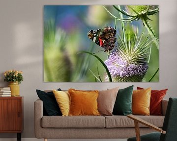 Atalanta on a teasel by Ruud van der Wees