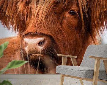 Subtiel portret van de Schotse Hooglander tussen de heide van Sandra van Kampen