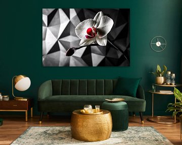 White orchid with geometric background by Art & Soul Creations