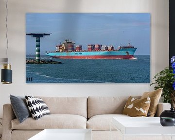 Containerschip Maersk Idaho. van Jaap van den Berg