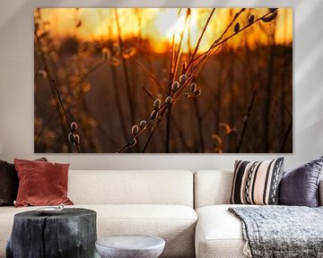 Spring promise at sunset on the Kalmthoutse Heide by Captured Created by Cathleen
