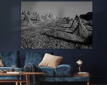 Houses after harvest by Paolo Petit