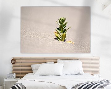De eenzame groene bewoner