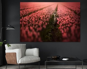 Spring blush van Nanuq Dog Photography