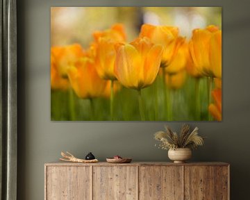 Oranje tulpen von Sungi Verhaar