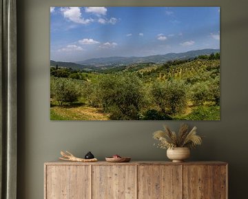 Het Toscaanse landschap bij Panzano in Chianti in Italië