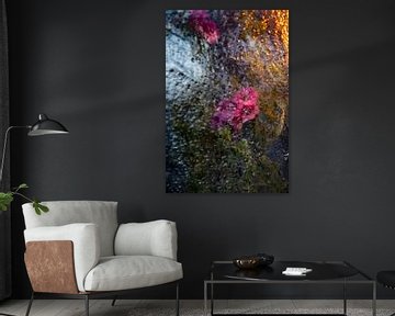 Blumen hinter Glas von Thomas Riess