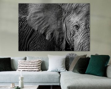 Gros plan sur un éléphant d’Afrique – Serengeti, Tanzanie sur RobinV