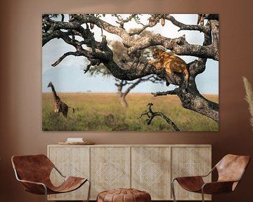Lionne perchée, girafe à l'horizon – Serengeti, Tanzania sur RobinV