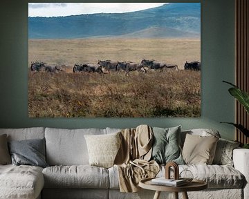 Gnous en course pendant la grande migration – Ngorongoro Crater, Tanzania sur RobinV