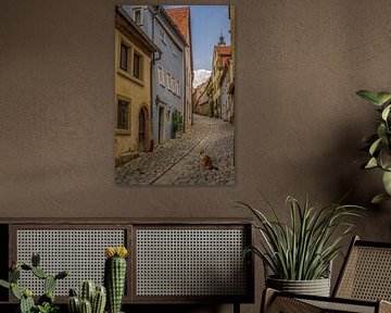 Cat atmosphere in a picturesque street of Rothenburg ob der Tauber by Tonny Verhulst