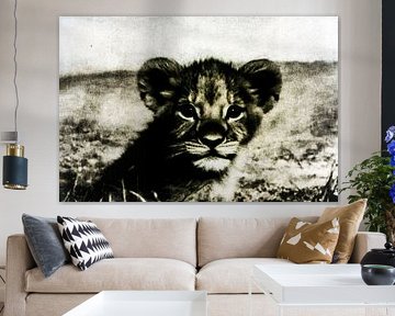 Lion cub in black and white