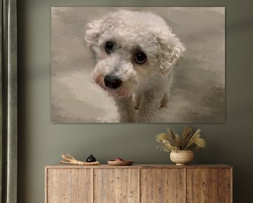 Kleine witte hond, met grote zwarte ogen van Corinne Welp