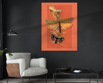 Summer into Autumn by Marja van den Hurk