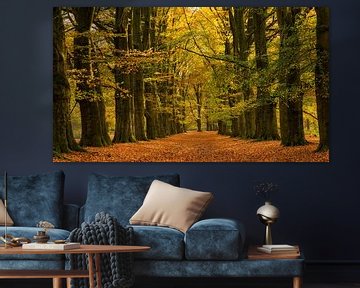 Beautiful autumn fairytale forest by Bram van Broekhoven
