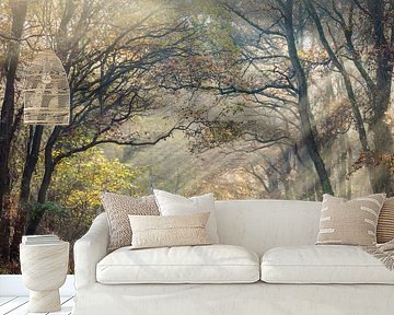 Zonnestralen, spelend met de bomen van Karla Leeftink