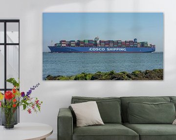 COSCO Shipping Andes containerschip. van Jaap van den Berg