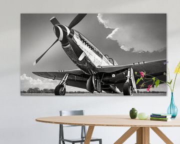 la P51 sur Frank Peters