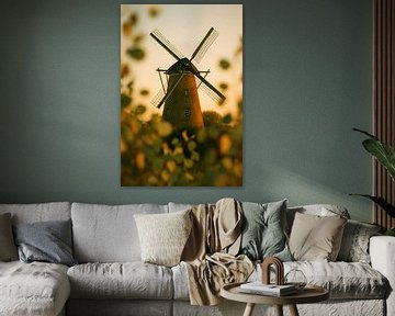 Gouden Uur bij de Hollandse Molen van But First Framing