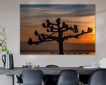 Gouden zonsondergang boven het Bodenmeer
