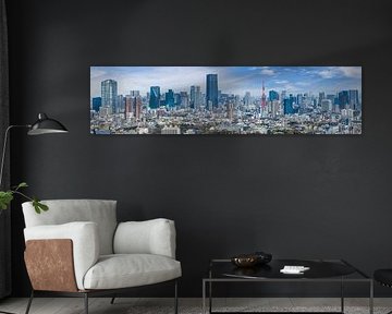 Großartiges Panorama aus Tokio