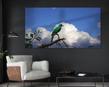 Geschapen Quetzal