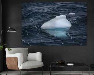 A baby iceberg
