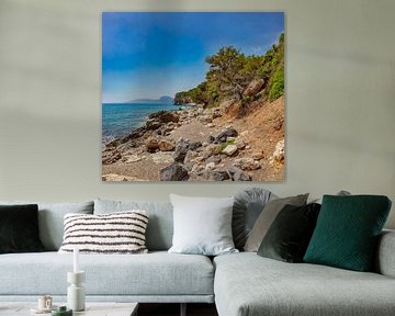 Strand vol rotsblokken genaamd Scorcio su Ziu Martine, Cala Gonone, Sardinia, Italië van Rene van der Meer