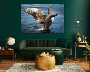 Fliegende Gans im Morgenlicht