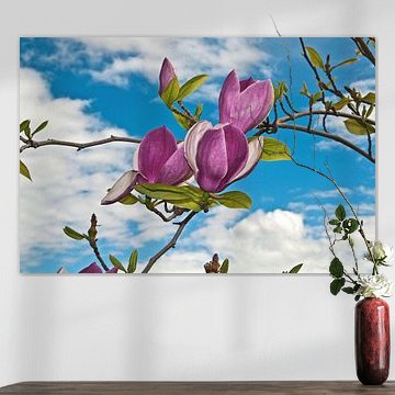 Magnolias de rêve sur fond de ciel nuageux