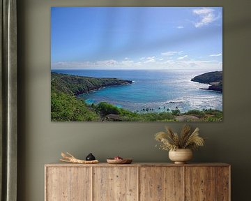 Overzicht van Hanauma Bay