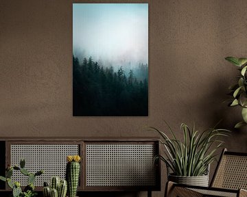Forest Sunrise