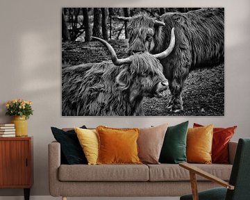 Hooglanders van Monique Verlouw