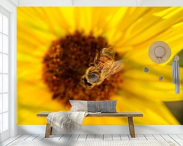 Honeybee on Sunflower 0704-5