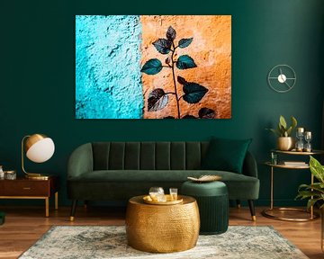Bunte Blätter mit kontrastierender Wand von Imperial Art House