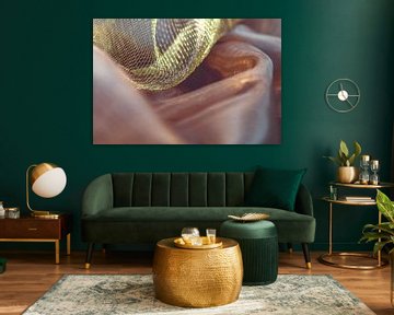 Geflecht aus Licht – Goldstruktur auf Transparenz von Mixed media vector arts