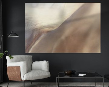 Lichtfalten – Sanfte Transparenz im Gegenlicht von Mixed media vector arts