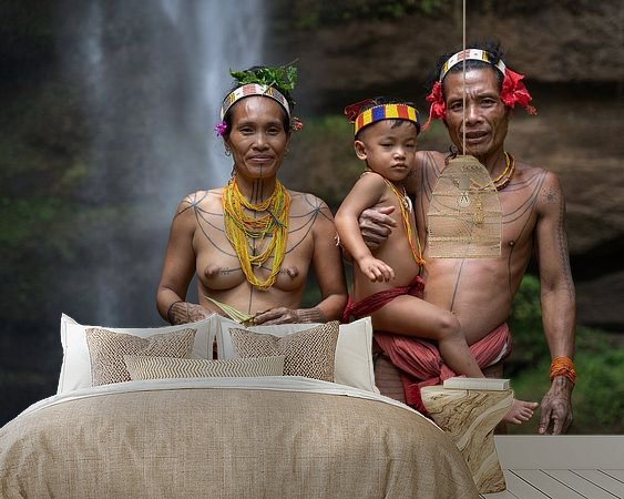 Aperçu de la chambre