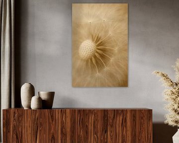 Poetic Dandelion in Sepia