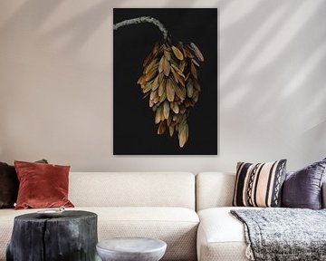 Gevleugeld van Karin Bakker Fotografie