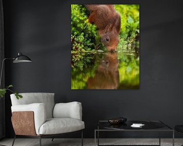 Grote dorst van Bram de Jong