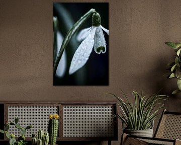 Small Flower, Big Moment