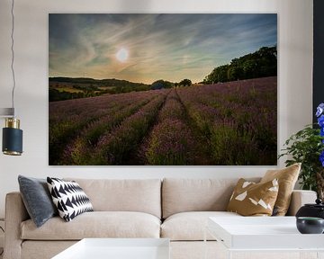 De kleine Provence van Thomas Junklewitz