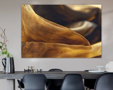 Goldbraune Transparenz – Falten und Licht in feinem Gewebe von Mixed media vector arts