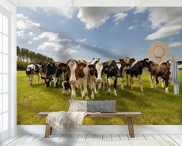 Cows in the meadow by Menno Schaefer