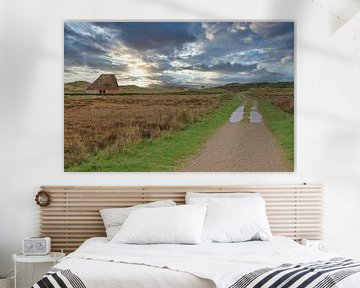 Schapenboet met wandelpad. van Jose Lok