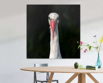 The Guardian - Portrait of a Stork by Martin Mol
