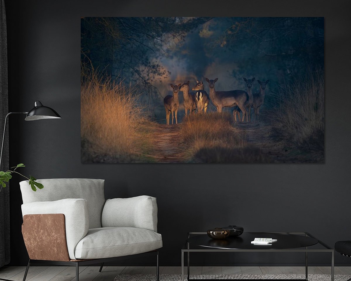 Voorbeeld van het werk in een kamer